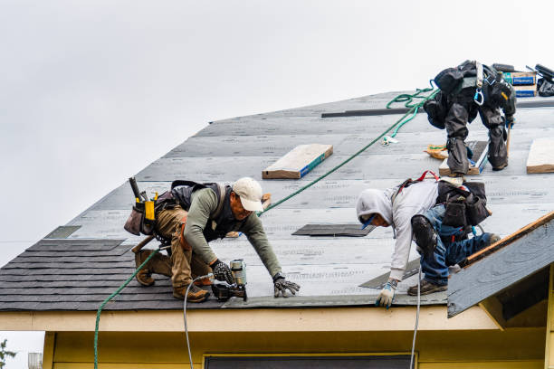 Professional Gutter Installation technician working in Paris, AR